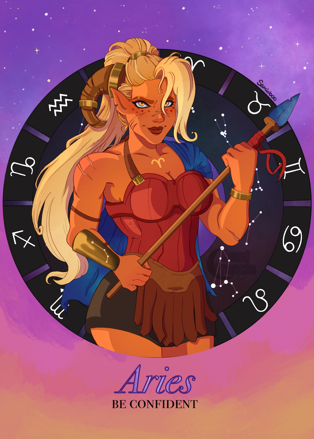 Aries Mini